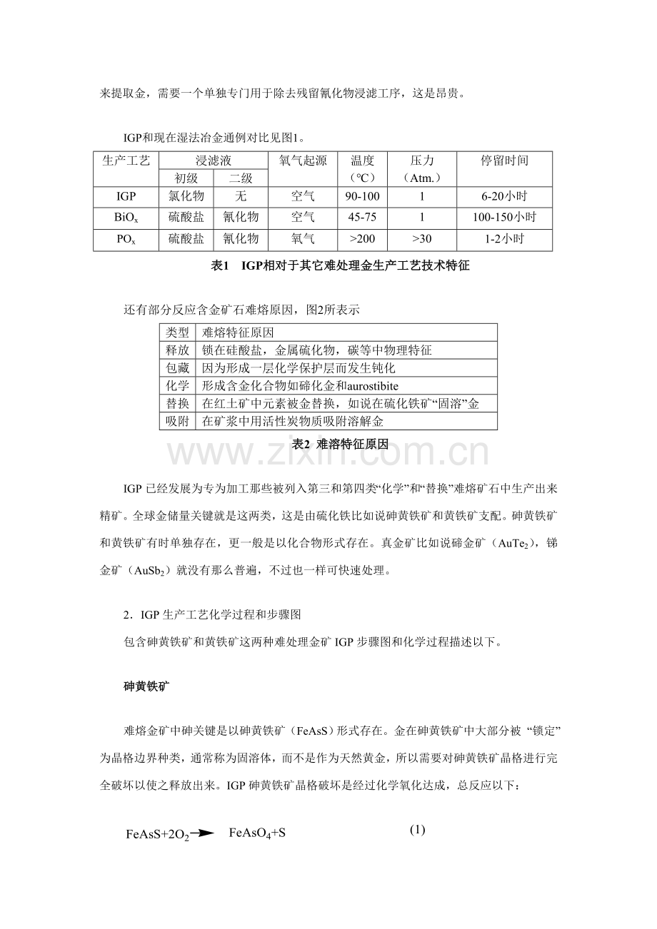 英泰克金生产工艺的说明(IGP)httpwww模板.doc_第2页