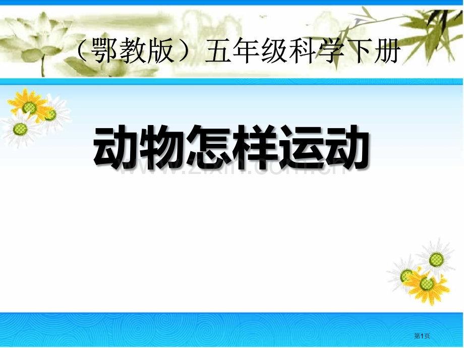 动物怎样运动课件省公开课一等奖新名师优质课比赛一等奖课件.pptx_第1页