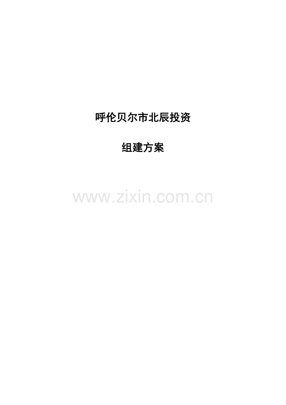 投资公司改制组建方案样本.doc_第1页