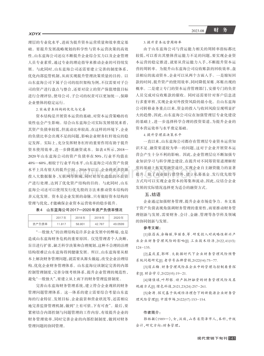 基于资产负债表的财务管理思路研究--以山东蓝海公司为例.pdf_第3页