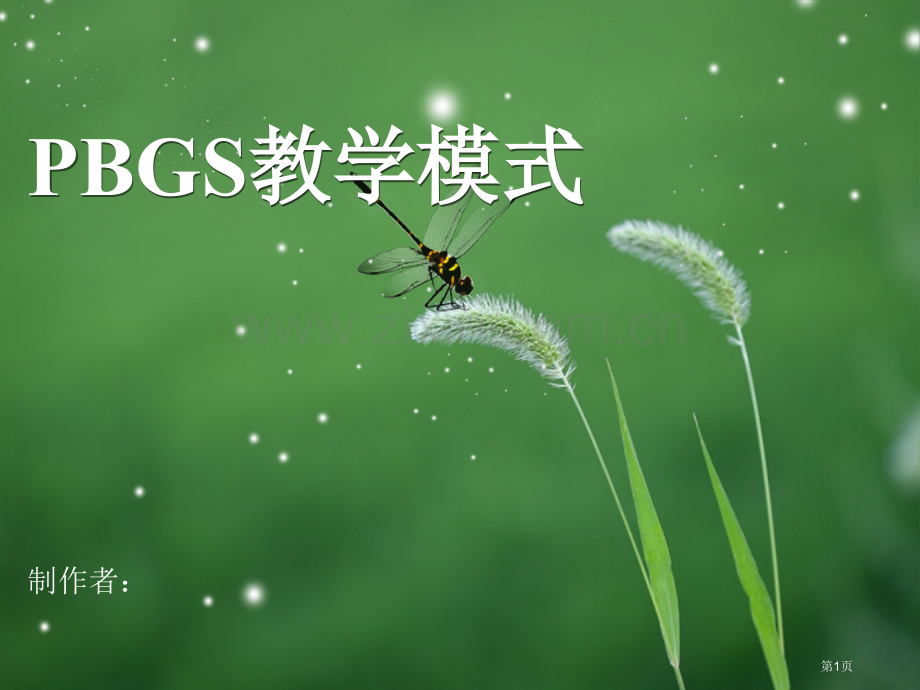 PBGS教学模式专业知识讲座省公共课一等奖全国赛课获奖课件.pptx_第1页