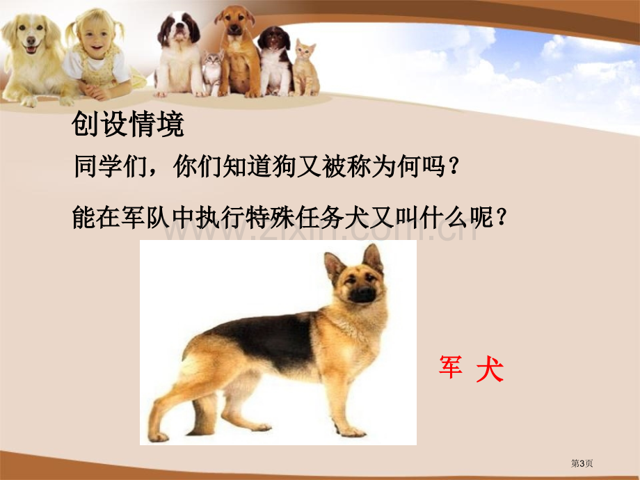 军犬黑子省公开课一等奖新名师比赛一等奖课件.pptx_第3页