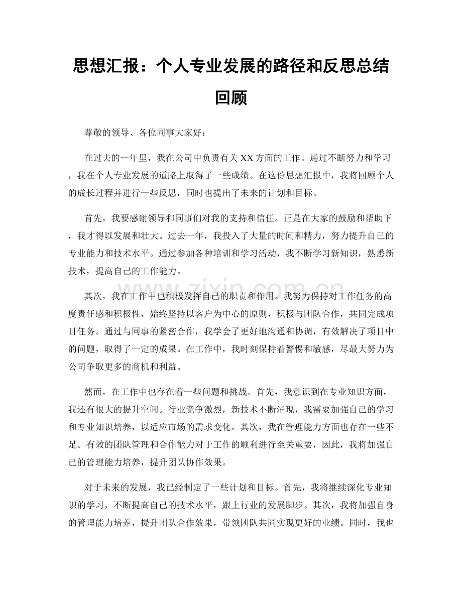 思想汇报：个人专业发展的路径和反思总结回顾.docx_第1页