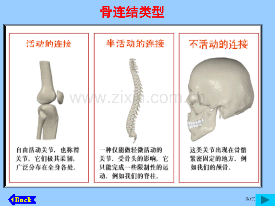 初一生物关节省公共课一等奖全国赛课获奖课件.pptx_第3页