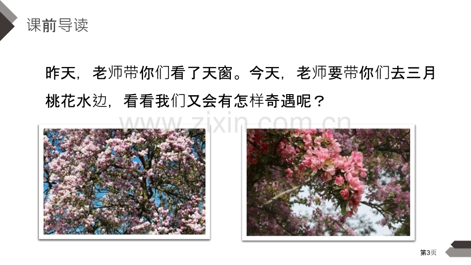 三月桃花水课件省公开课一等奖新名师比赛一等奖课件.pptx_第3页