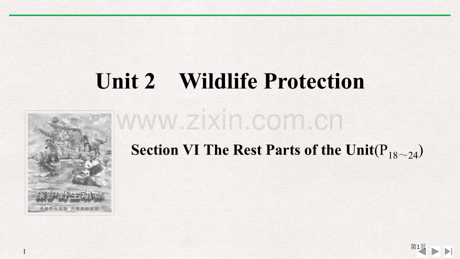 Wildlife-ProtectionSectionⅥ.pptx_第1页