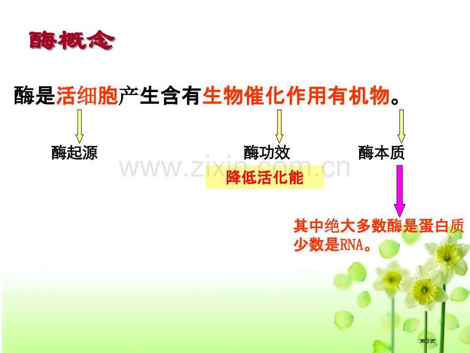 探究影响酶活性的条件市公开课一等奖百校联赛获奖课件.pptx_第3页