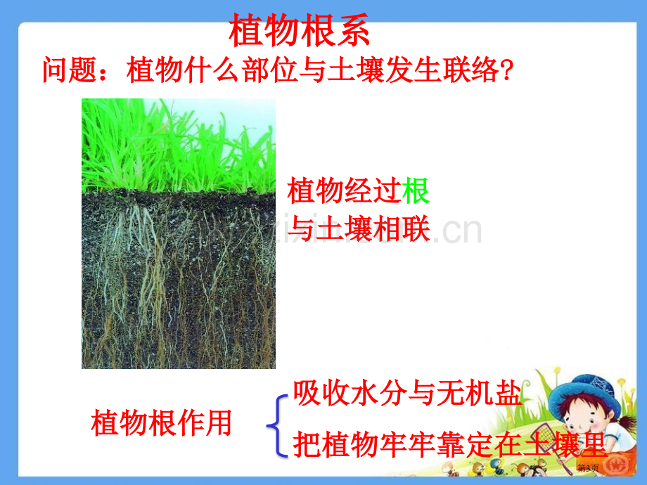 土壤与植物省公开课一等奖新名师比赛一等奖课件.pptx_第3页