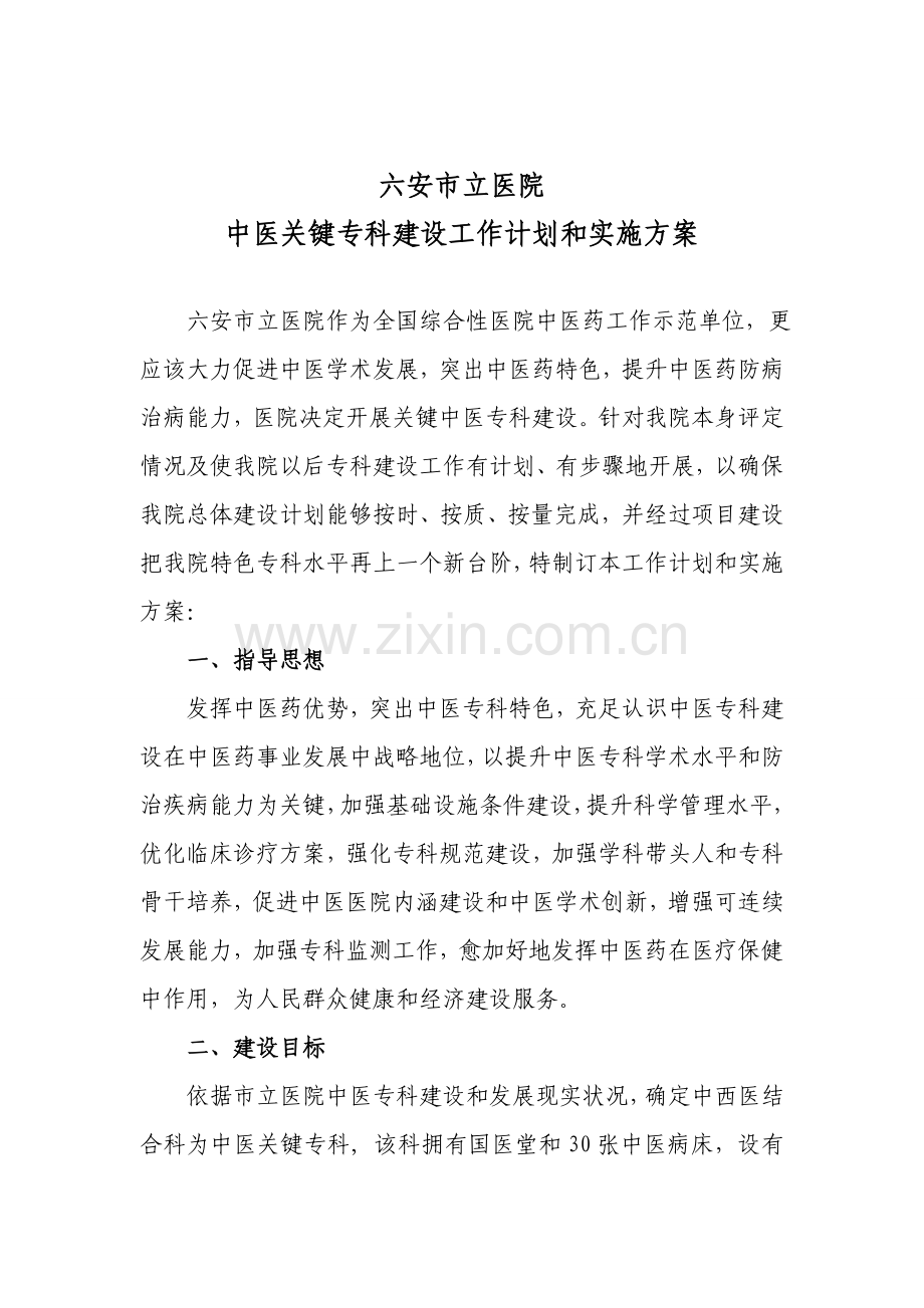 中医重点专科建设专题计划和实施专项方案.doc_第1页