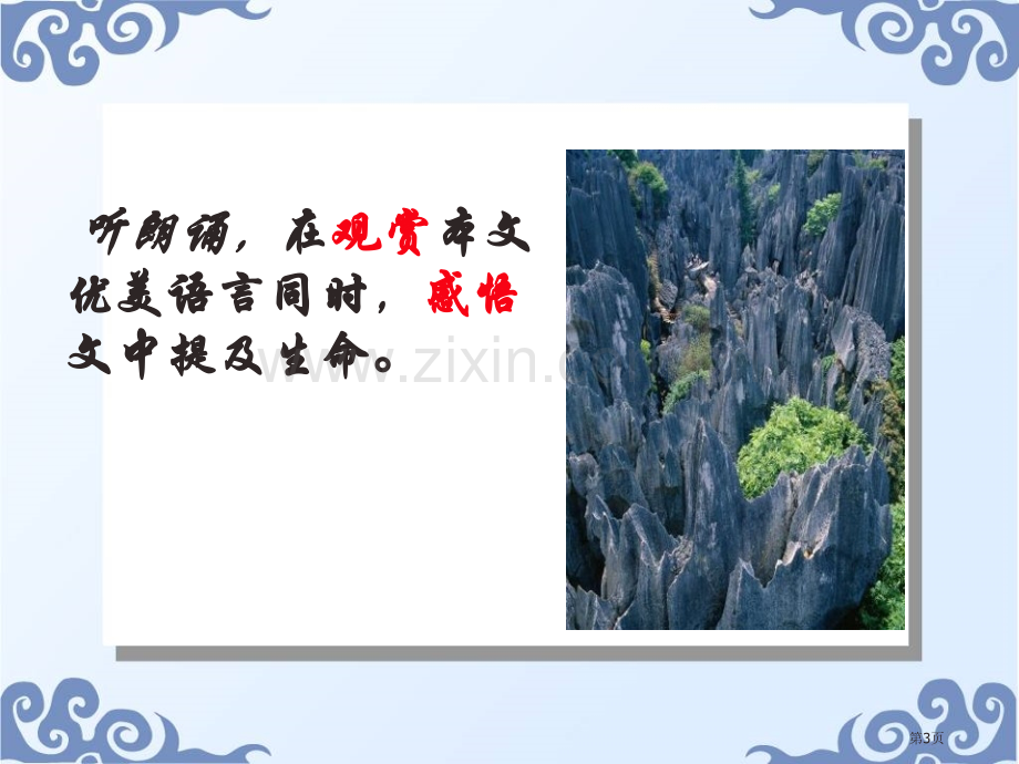 石缝间的生命省公开课一等奖新名师优质课比赛一等奖课件.pptx_第3页