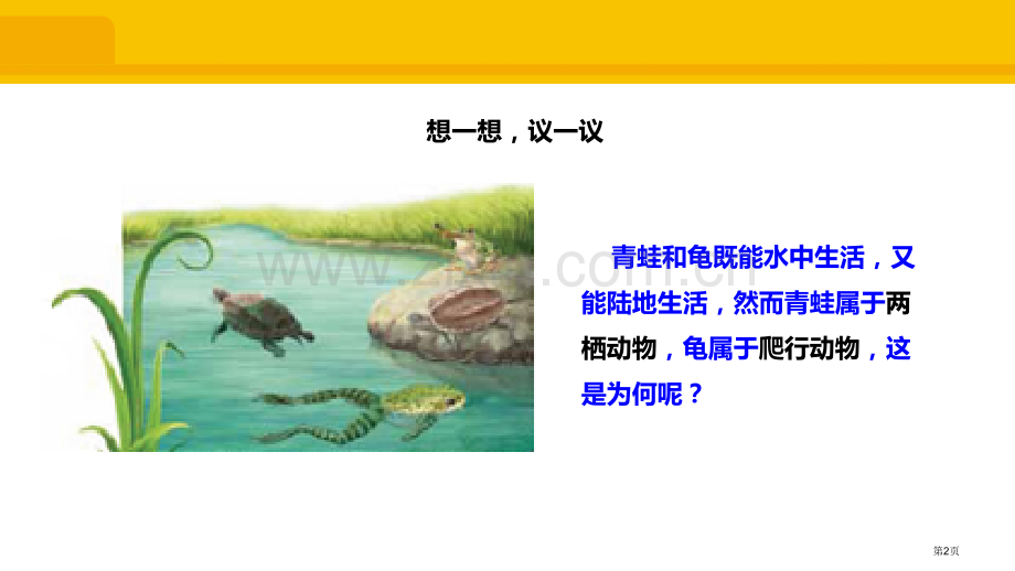 两栖动物和爬行动物省公开课一等奖新名师优质课比赛一等奖课件.pptx_第2页