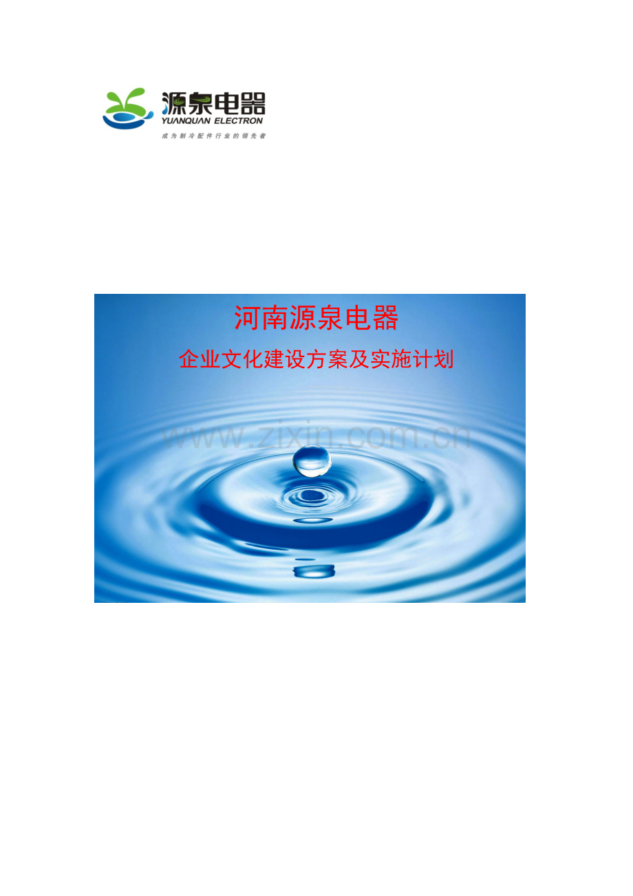 企业文化建设专业方案及实施专项计划定.docx_第1页