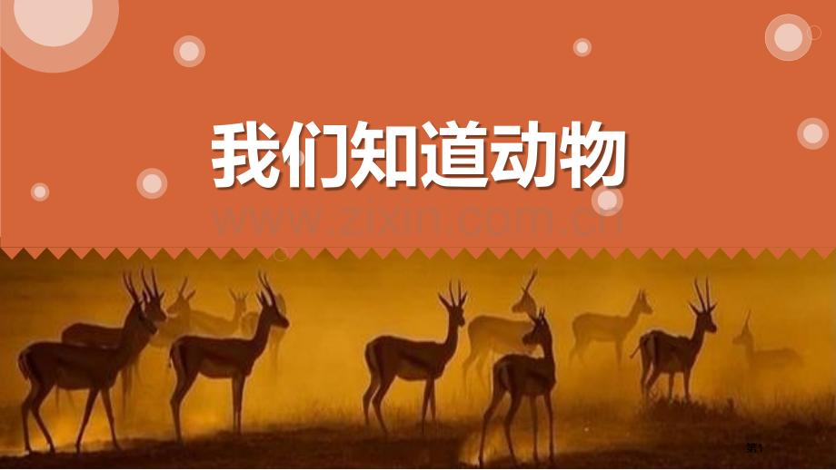 我们知道的动物课件省公开课一等奖新名师比赛一等奖课件.pptx_第1页