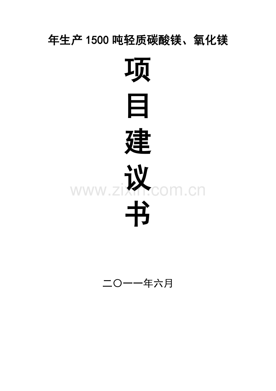 年生产1500吨轻质碳酸镁、氧化镁生产线建设综合项目可行性研究应用报告.doc_第1页