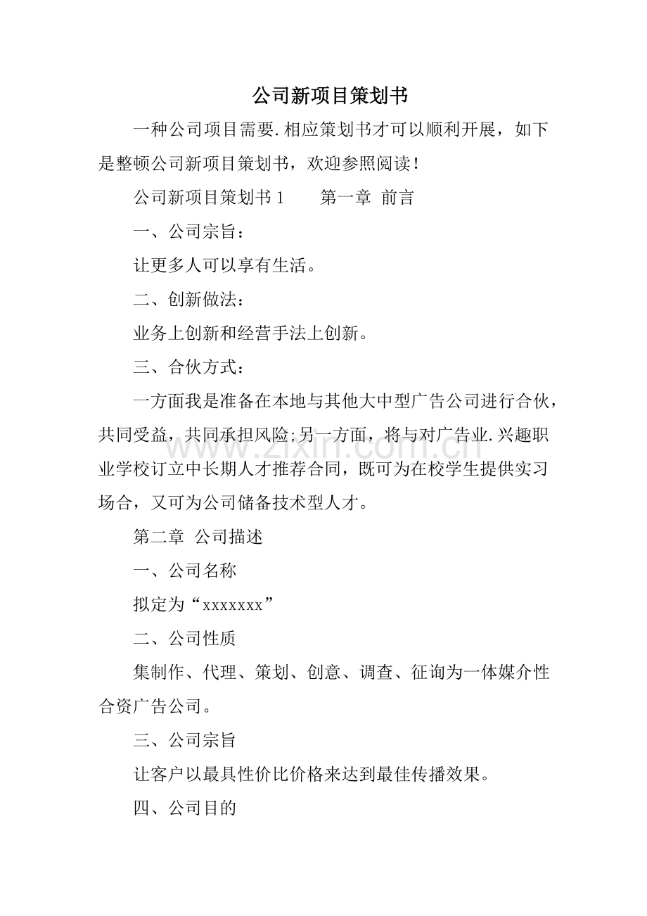 公司新综合项目专业策划书.doc_第1页