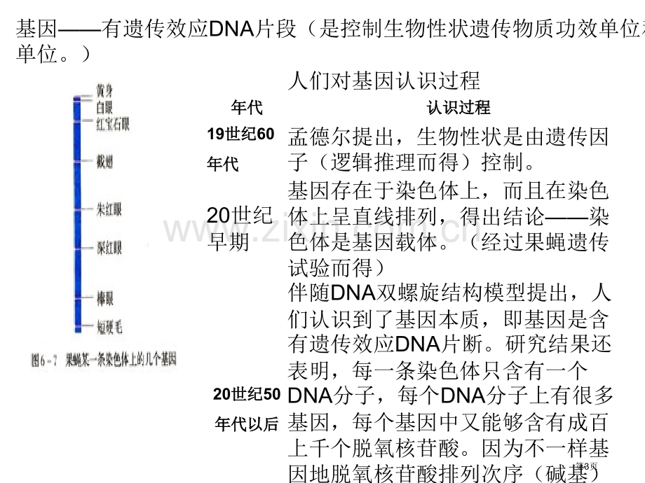 人教版教学基因突变和基因重组继续教育生物班省公共课一等奖全国赛课获奖课件.pptx_第3页