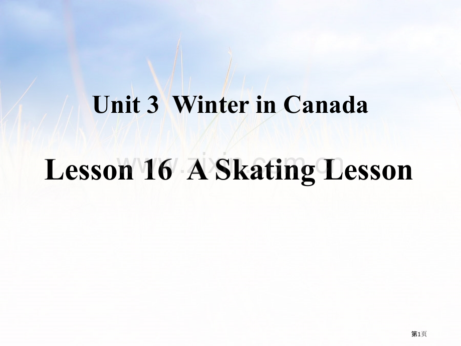 A-Skating-LessonWinter-in-Canada省公开课一等奖新名师优质课比赛一等奖.pptx_第1页