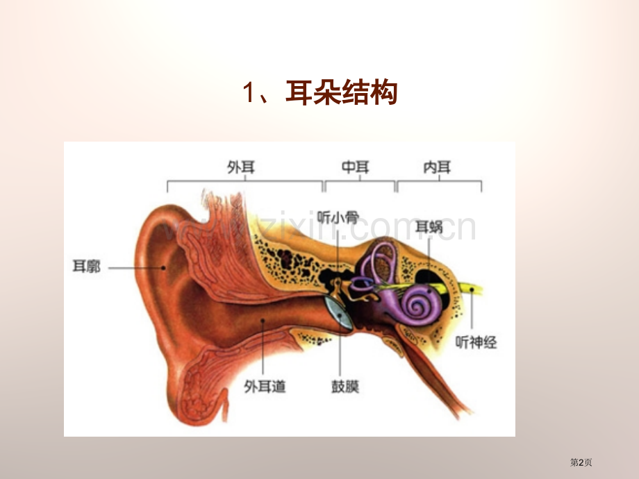 怎样听到声音课件省公开课一等奖新名师比赛一等奖课件.pptx_第2页