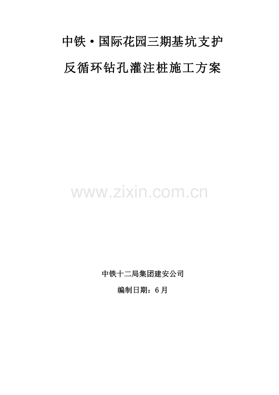 新版反循环钻孔灌注桩综合项目施工专项方案.doc_第1页