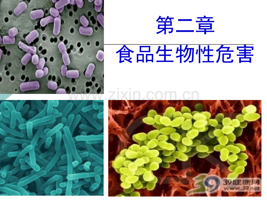 食品的生物性危害省公共课一等奖全国赛课获奖课件.pptx_第1页