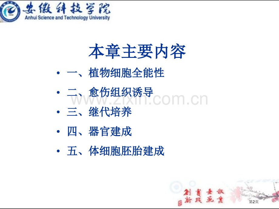 植物生物技术省公共课一等奖全国赛课获奖课件.pptx_第2页