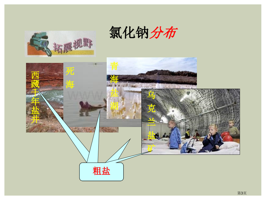 几种常见的盐盐课件省公开课一等奖新名师优质课比赛一等奖课件.pptx_第3页