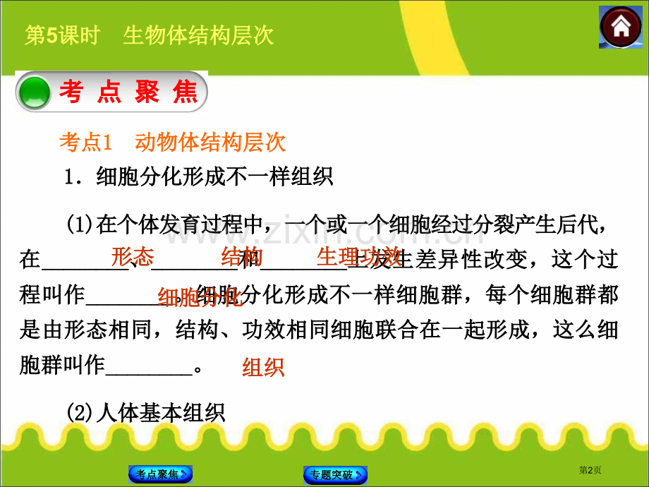 生物体的结构层次省公开课一等奖新名师比赛一等奖课件.pptx_第2页