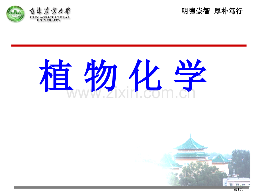 最有用的植物化学概论省公共课一等奖全国赛课获奖课件.pptx_第1页