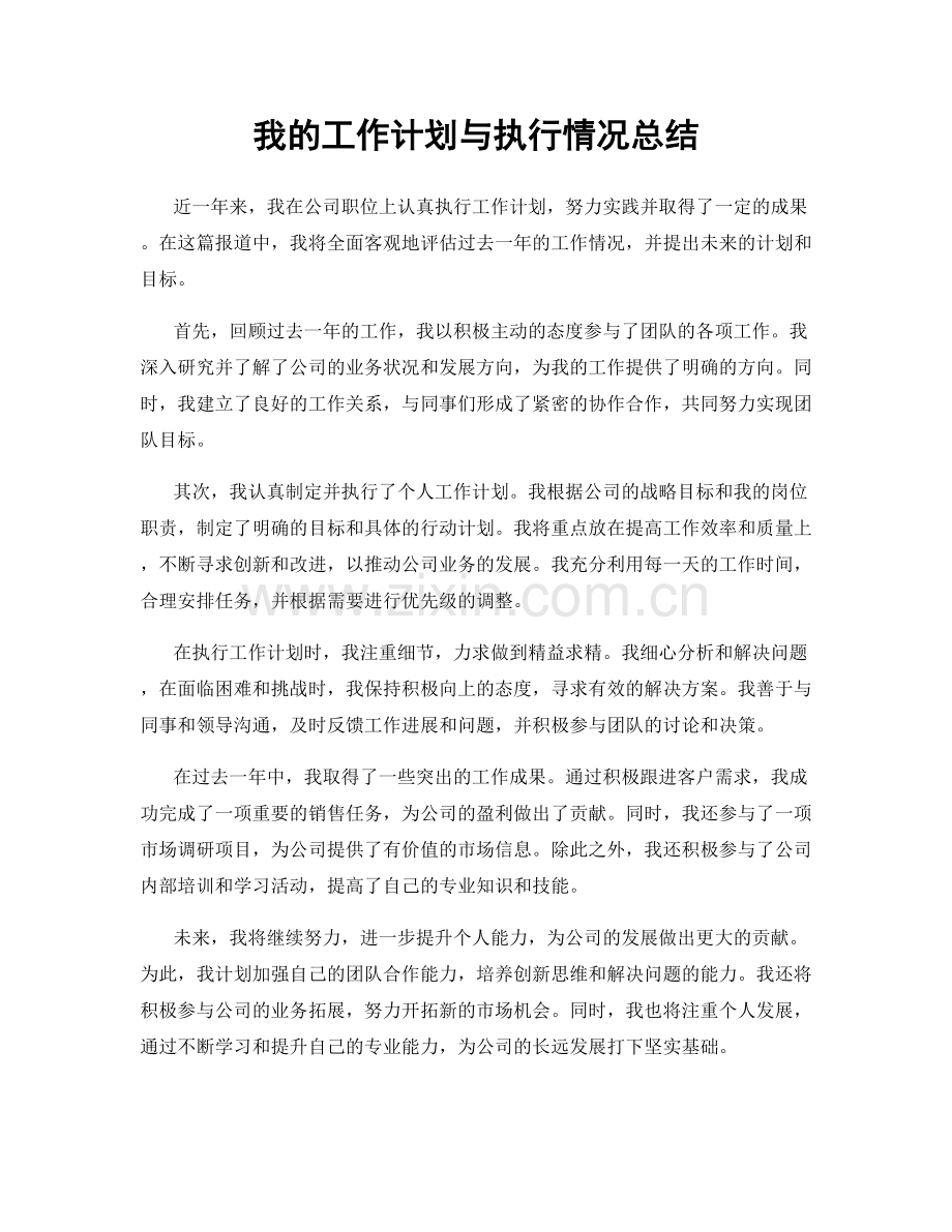 我的工作计划与执行情况总结.docx_第1页