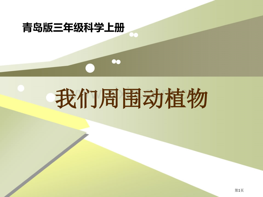 我们周围的动植物省公开课一等奖新名师优质课比赛一等奖课件.pptx_第1页