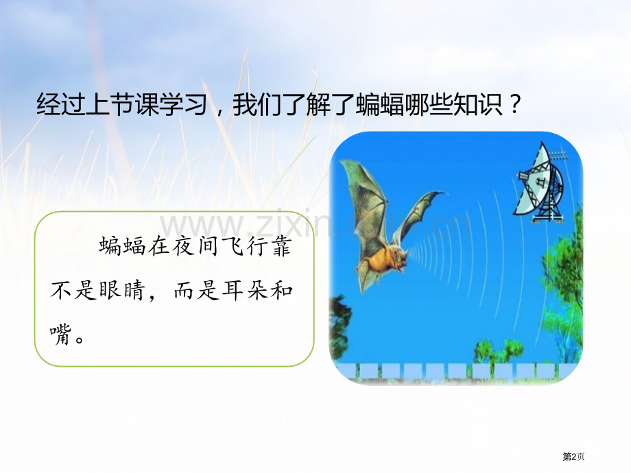 蝙蝠和雷达说课稿省公开课一等奖新名师优质课比赛一等奖课件.pptx_第2页