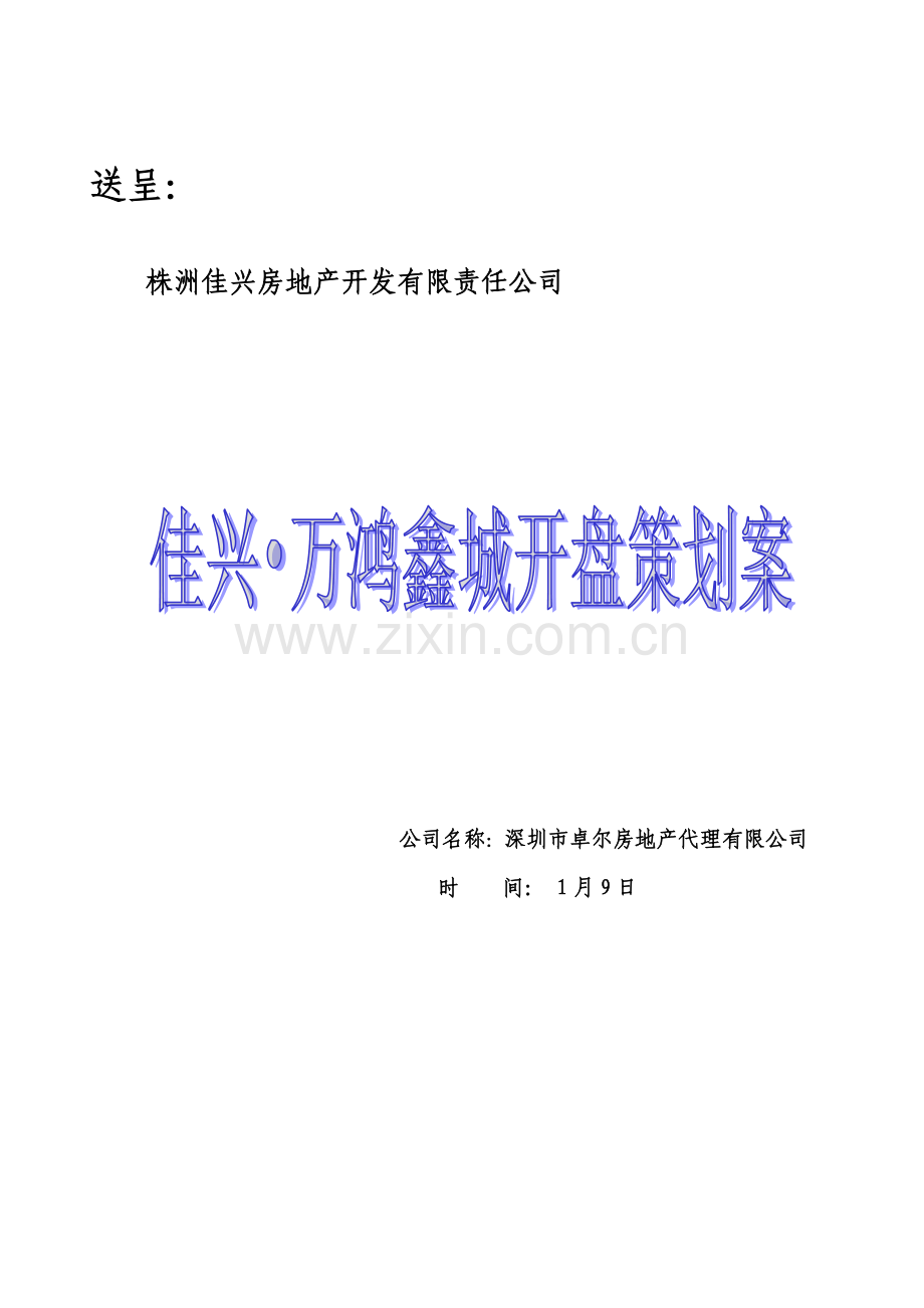 楼盘开盘专题策划专题方案.docx_第1页