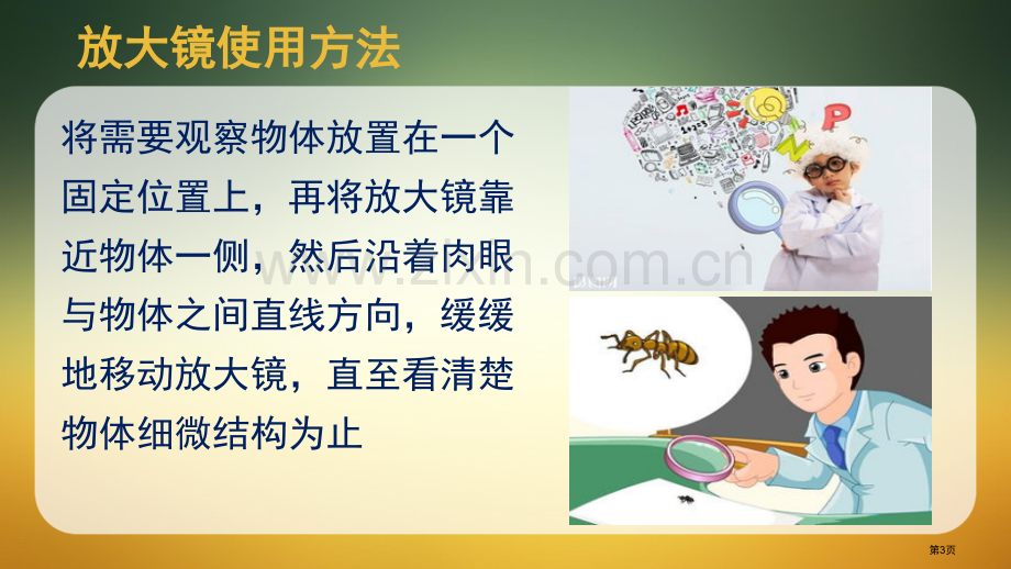 它们去哪了教学课件省公开课一等奖新名师优质课比赛一等奖课件.pptx_第3页