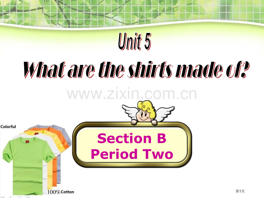 What-are-the-shirts-made-of省公开课一等奖新名师优质课比赛一等奖课件.pptx_第1页