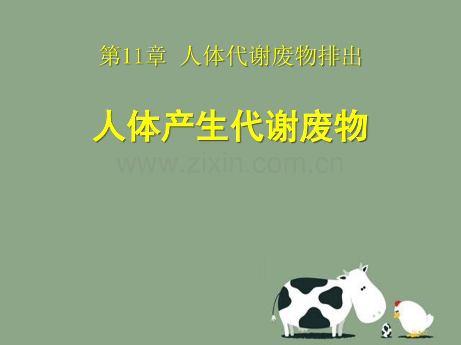 人体产生的代谢废物省公开课一等奖新名师优质课比赛一等奖课件.pptx_第1页