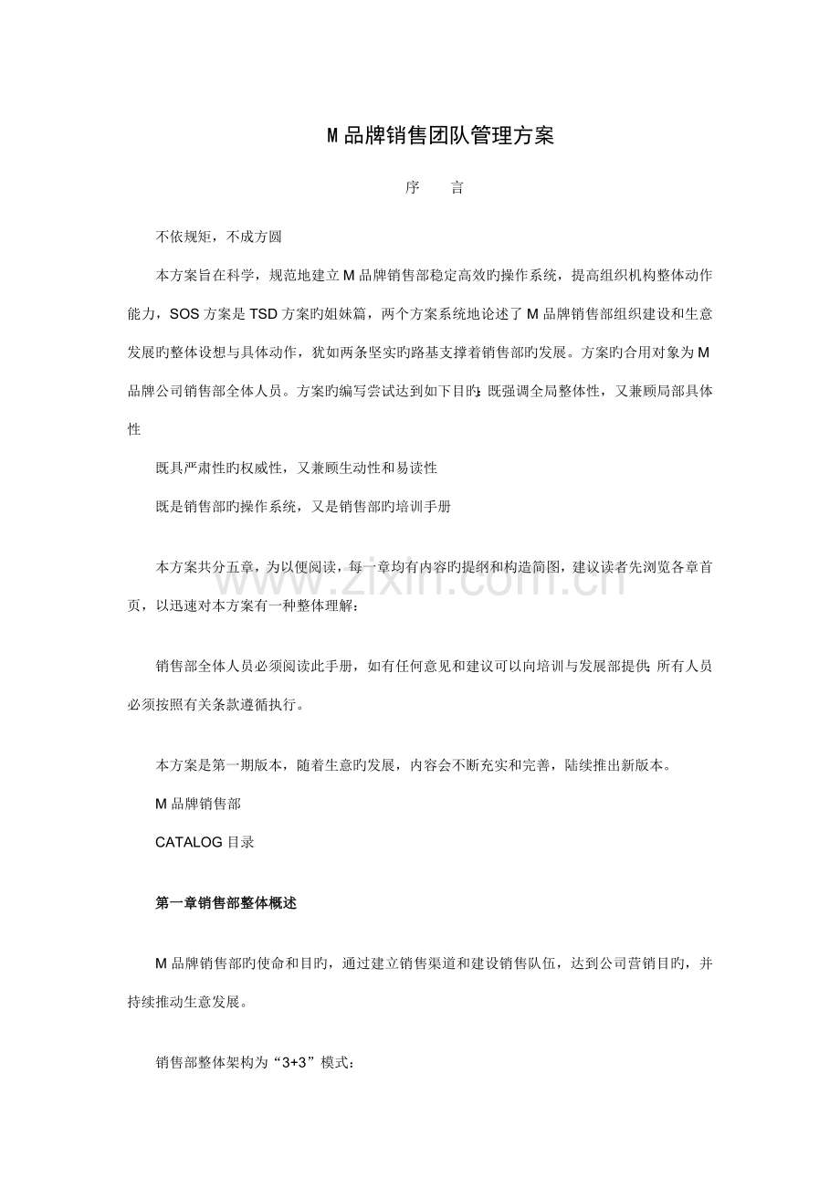 M品牌销售团队管理专题方案.docx_第1页