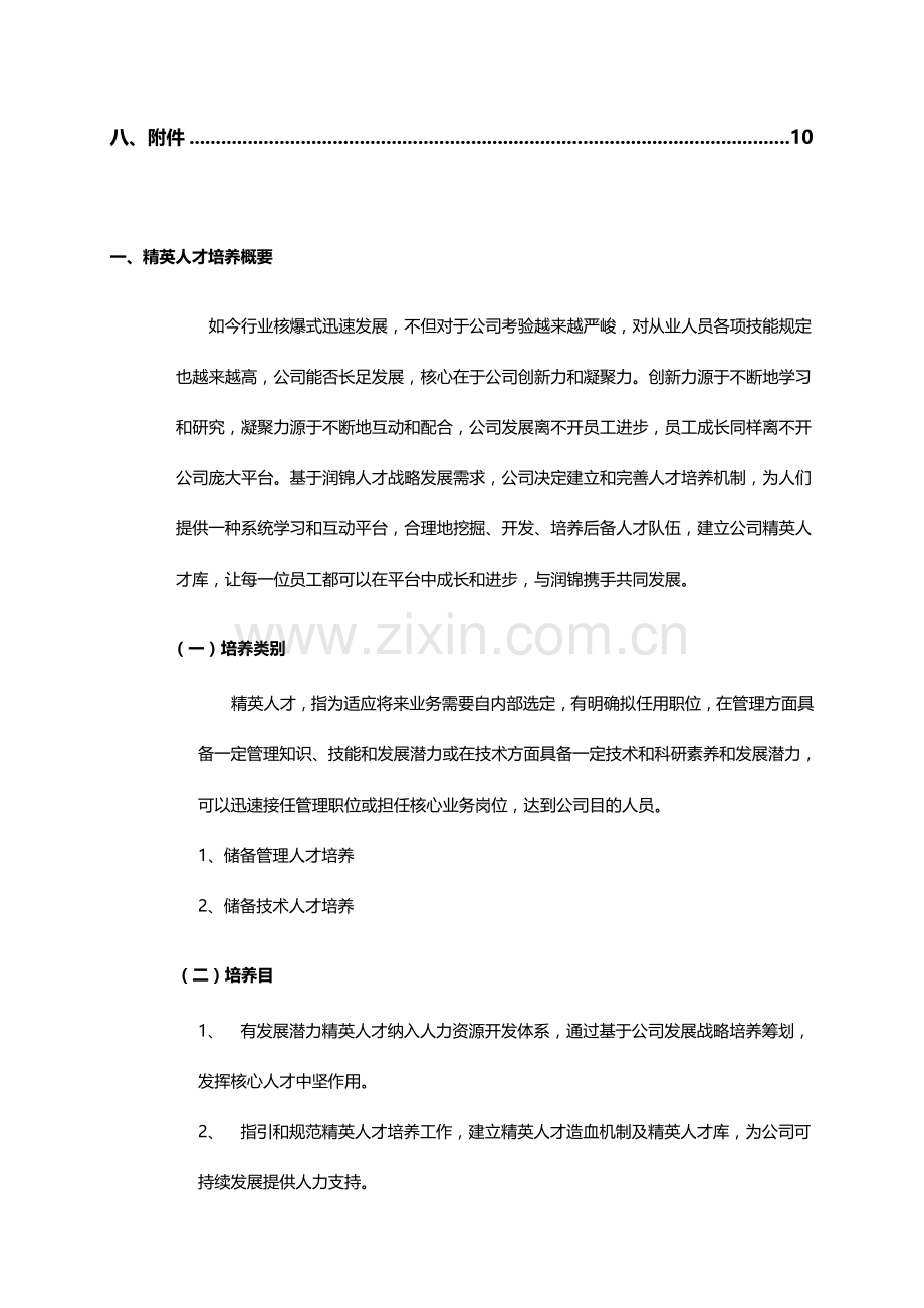 精英人才培养专题计划执行专项方案审核修订版.doc_第3页