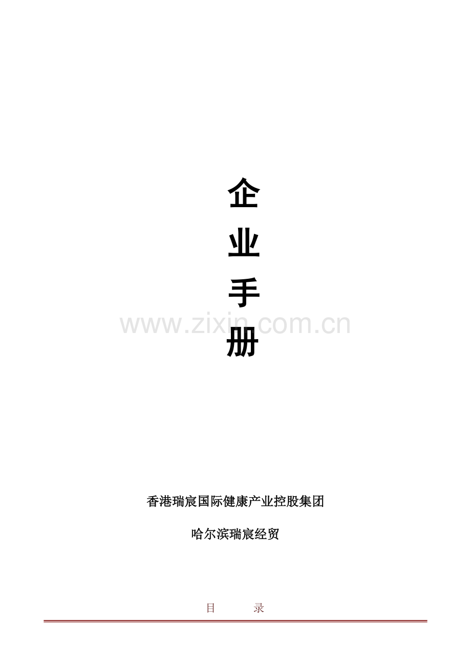 产业控股集团企业手册模板.doc_第1页