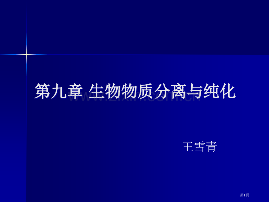 生物物质分离与纯化市公开课一等奖百校联赛特等奖课件.pptx_第1页