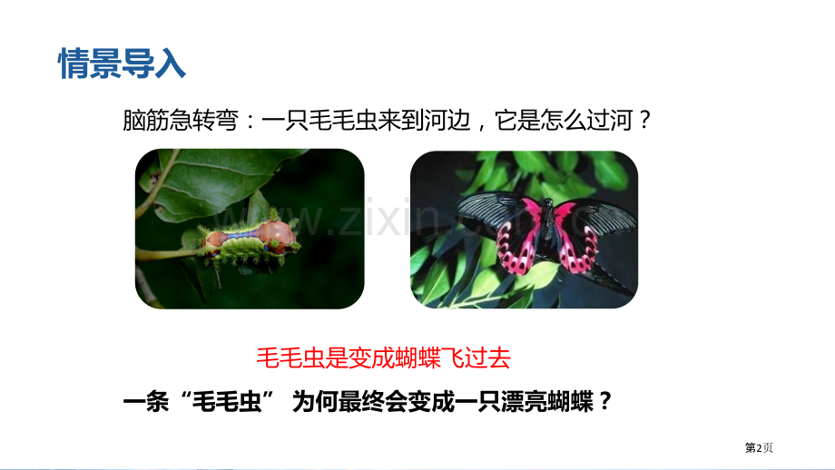 昆虫的生殖和发育优质课件省公开课一等奖新名师优质课比赛一等奖课件.pptx_第2页