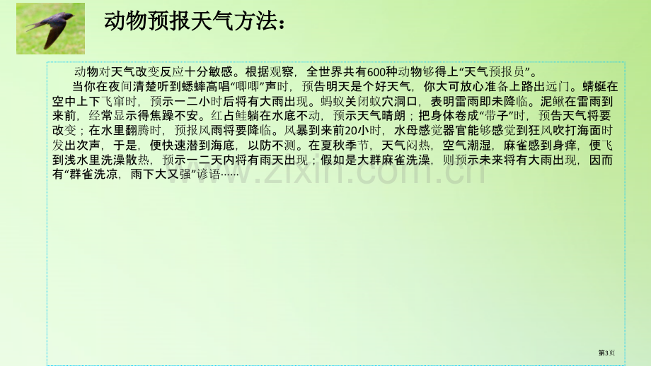 制作气象科普小报课件省公开课一等奖新名师优质课比赛一等奖课件.pptx_第3页