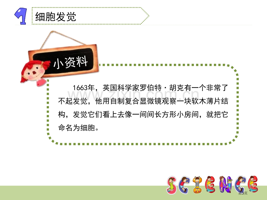 用显微镜观察身边的生命世界一微小世界省公开课一等奖新名师比赛一等奖课件.pptx_第3页