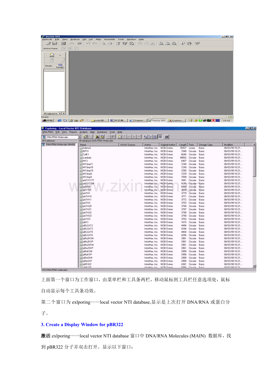 VectorNTI中文使用说明指导书(2).doc_第2页