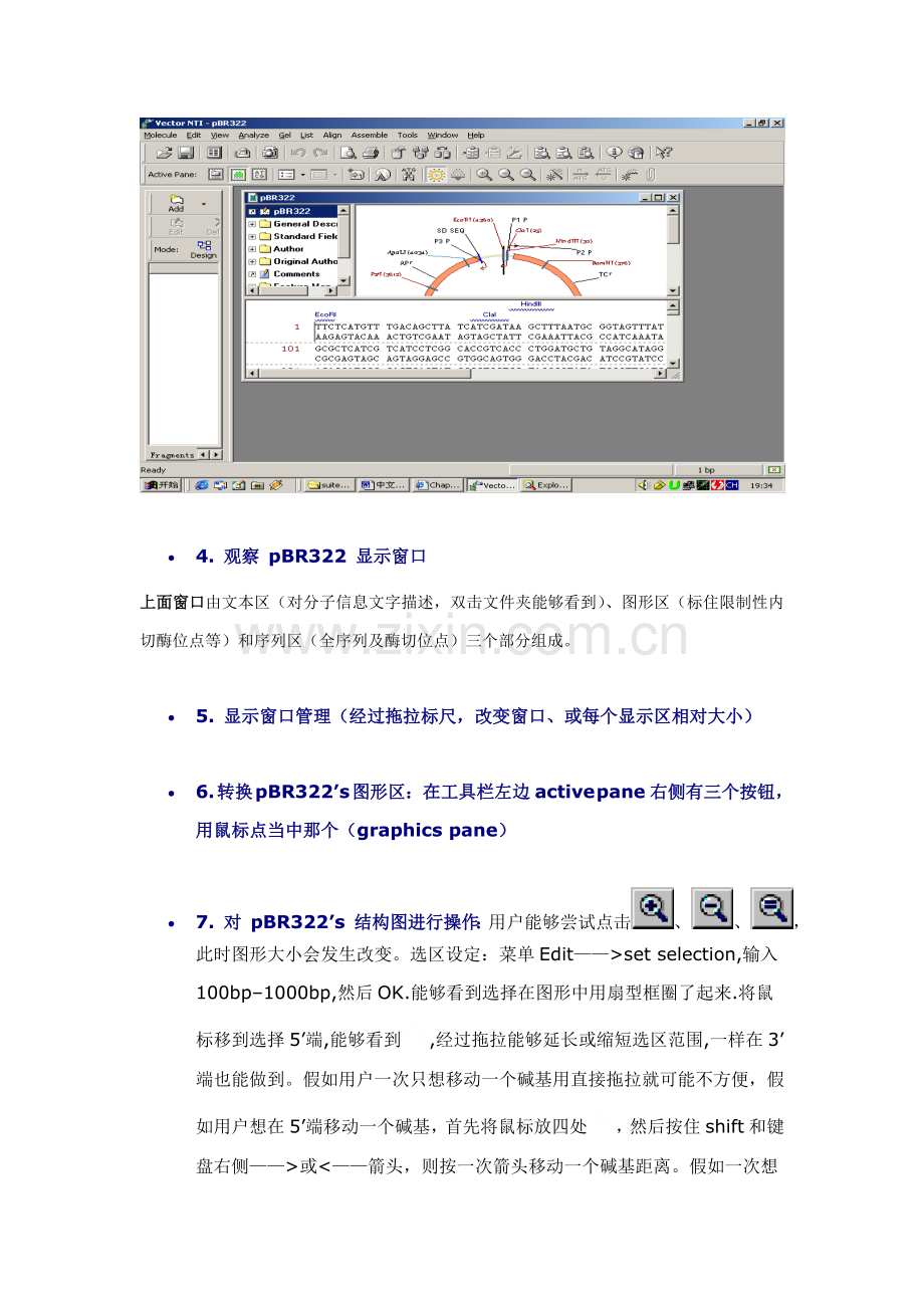 VectorNTI中文使用说明指导书(2).doc_第3页