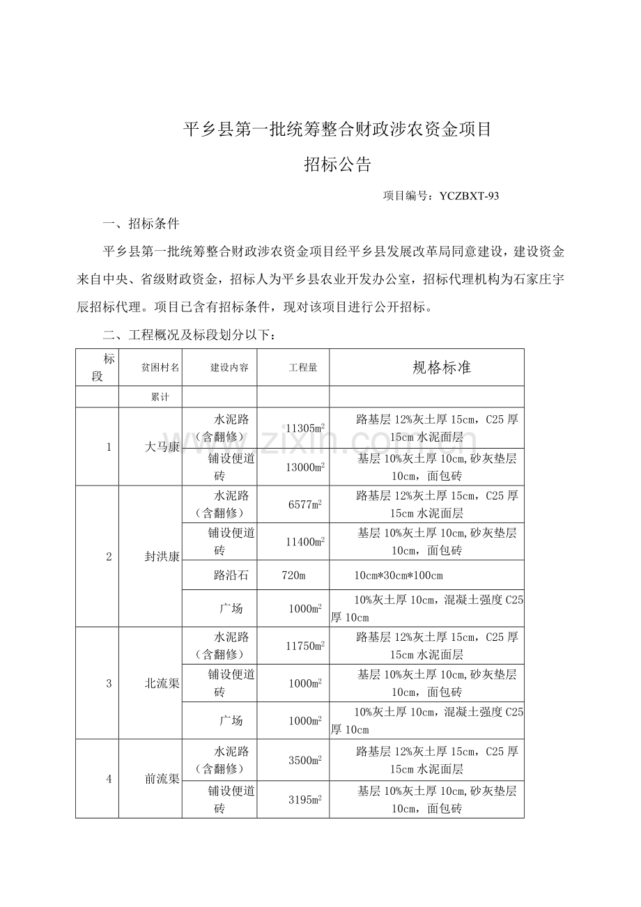 统筹整合涉农资金项目招标文件模板.doc_第3页