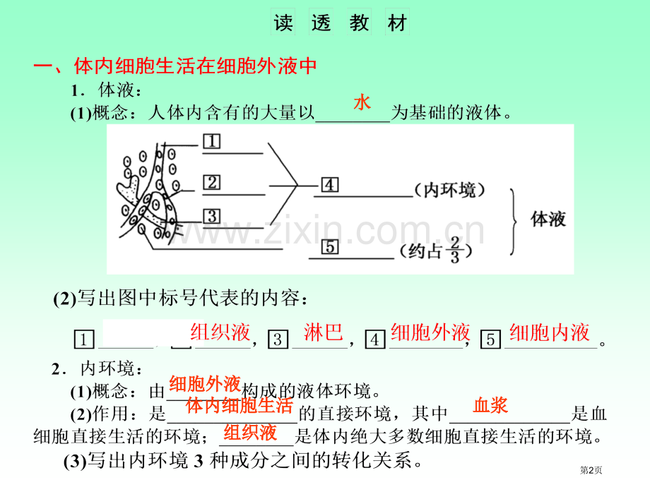 人体的内环境和稳态一轮复习市公开课一等奖百校联赛获奖课件.pptx_第2页