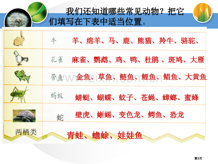 常见的动物身边的动植物课件省公开课一等奖新名师优质课比赛一等奖课件.pptx_第3页