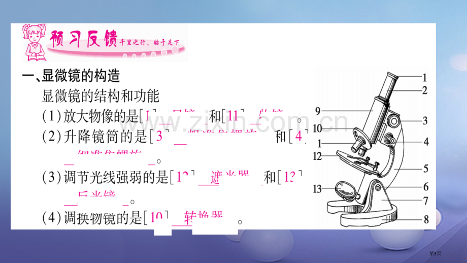 七年级生物上册第2单元生物体的结构层次市公开课一等奖百校联赛特等奖大赛微课金奖PPT课件.pptx_第3页