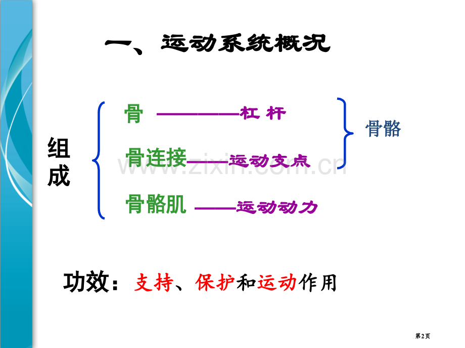 人的运动系统和保健省公开课一等奖新名师优质课比赛一等奖课件.pptx_第2页