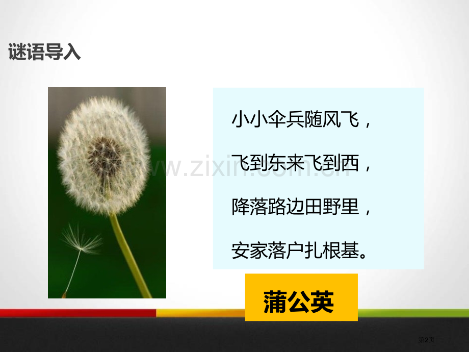 金色的草地课件省公开课一等奖新名师优质课比赛一等奖课件.pptx_第2页